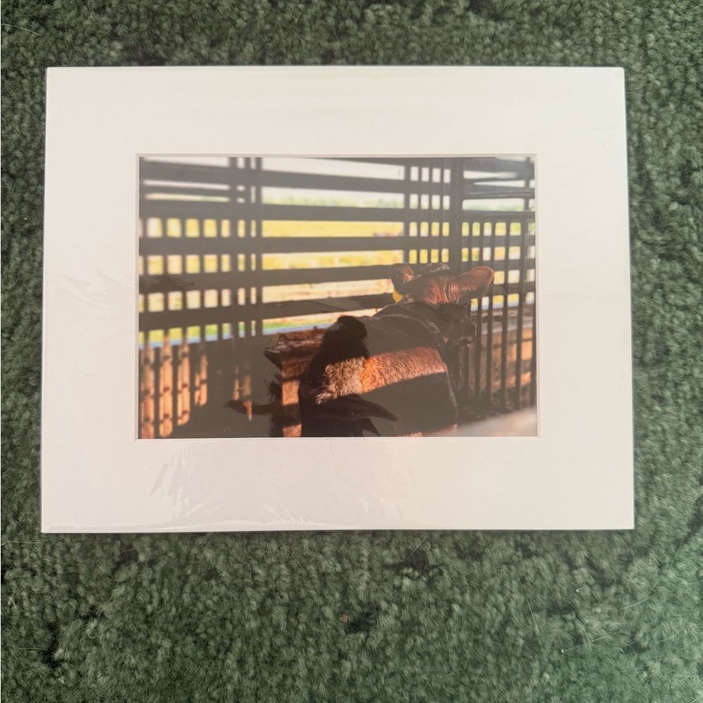 Black and Brown Urban Photography Art